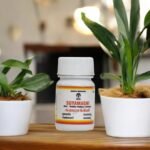 Suyamagni, Siddha, 10 Grams - Image 3